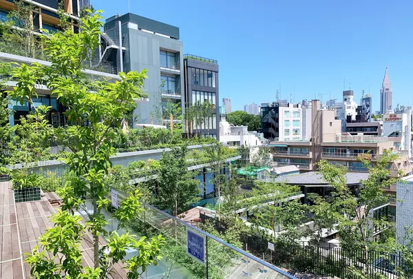 ウィズ原宿（WITH HARAJUKU）の写真・動画_image_767243