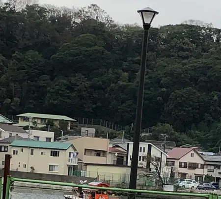 叶神社の写真・動画_image_767348