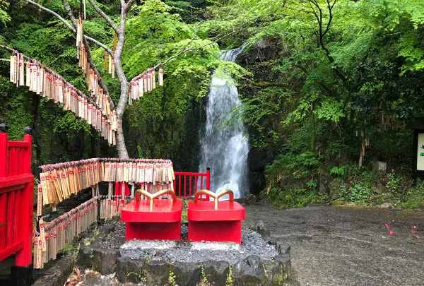 天狗の滝の写真・動画_image_769832