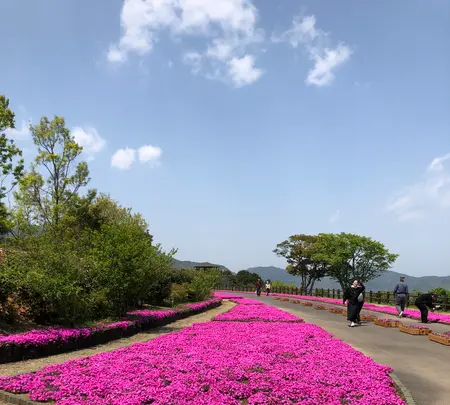 空の公園の写真・動画_image_769843
