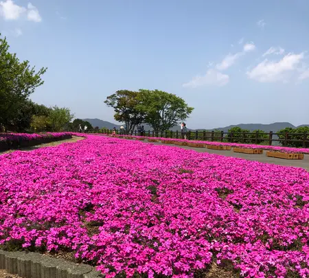 空の公園の写真・動画_image_769844