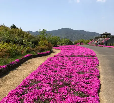空の公園の写真・動画_image_769846