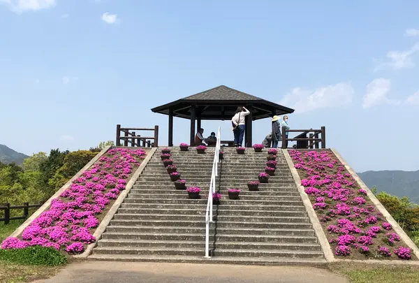 空の公園の写真・動画_image_769847