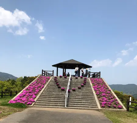 空の公園の写真・動画_image_769848