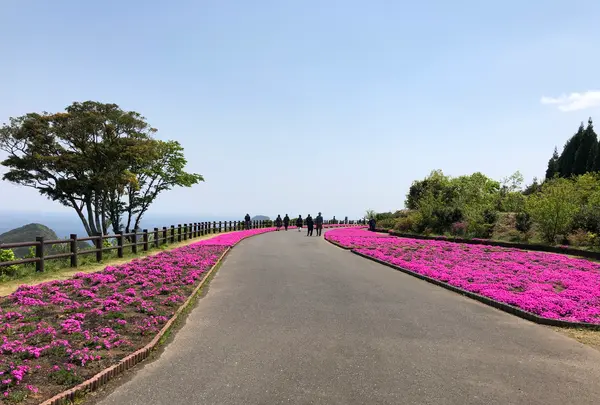 空の公園の写真・動画_image_769849