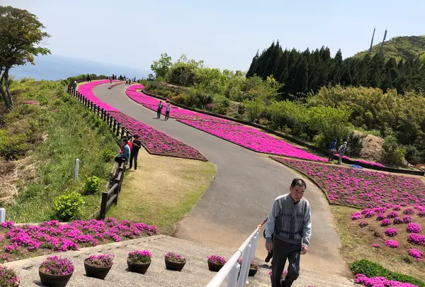 空の公園の写真・動画_image_769850