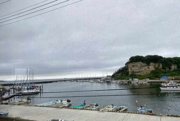 Shichi no Cafe ＆ Pizzaの写真・動画_image_770535