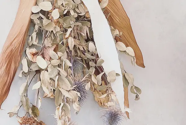 ronron coffee minetteの写真・動画_image_771629