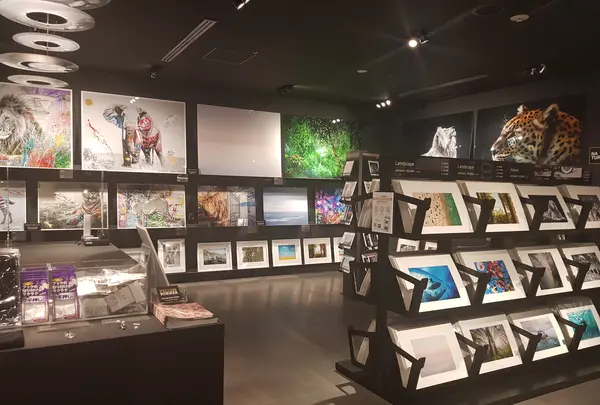 YELLOWKORNER　ニュウマン横浜店の写真・動画_image_772174