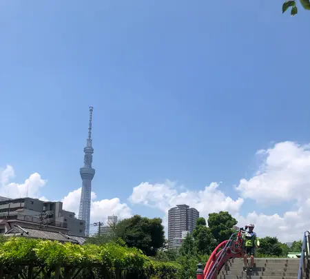 亀戸天神社の写真・動画_image_772226
