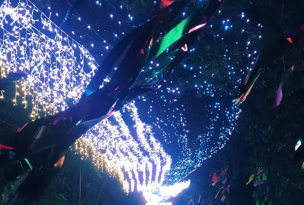 御殿場高原時之栖の写真・動画_image_773603