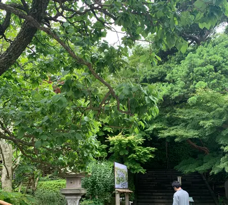 長谷寺山門の写真・動画_image_773925