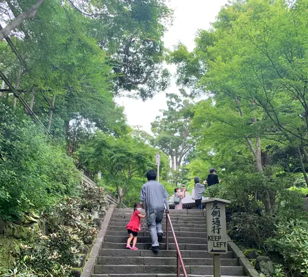 長谷寺山門の写真・動画_image_773926