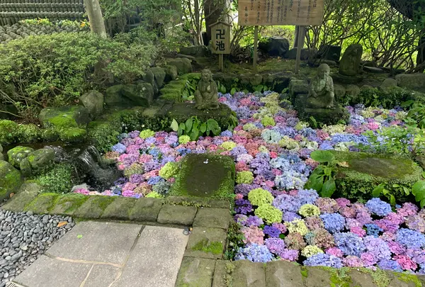 長谷寺山門の写真・動画_image_773927