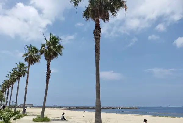 泉南りんくう公園 SENNAN LONG PARK（センナンロングパーク）の写真・動画_image_774803