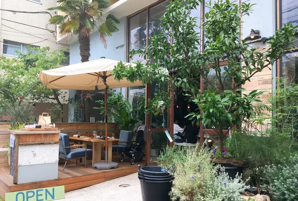 SORAYA 門前仲町の写真・動画_image_775495