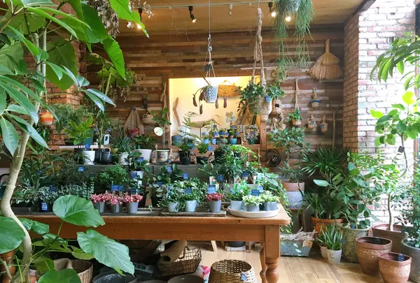 SORAYA 門前仲町の写真・動画_image_775496