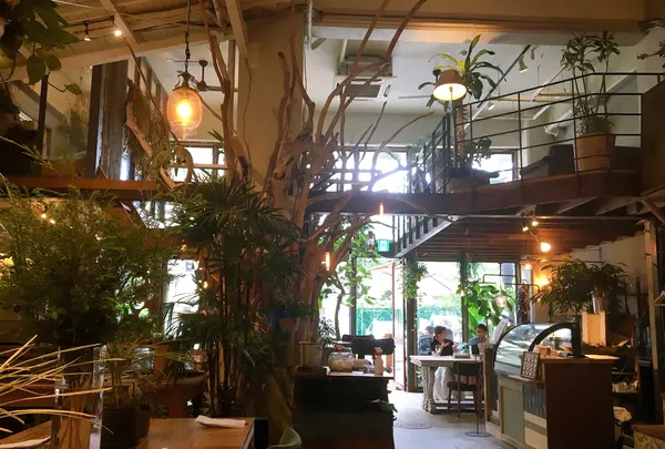 SORAYA 門前仲町の写真・動画_image_775497