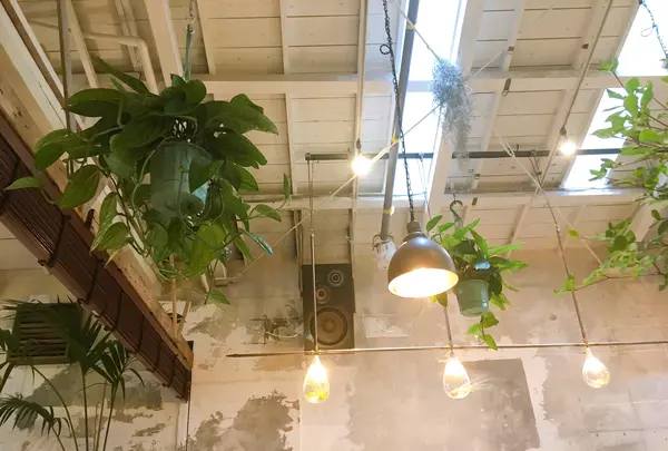 SORAYA 門前仲町の写真・動画_image_775498