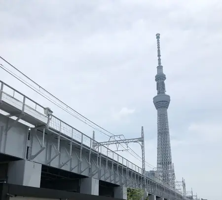 東京ミズマチの写真・動画_image_775853