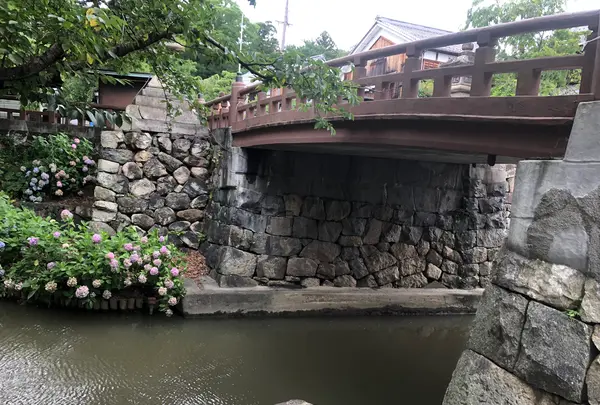 八幡堀めぐりの写真・動画_image_775977