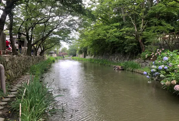 八幡堀めぐりの写真・動画_image_775978