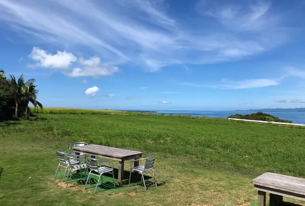 ミルミル本舗の写真・動画_image_776465