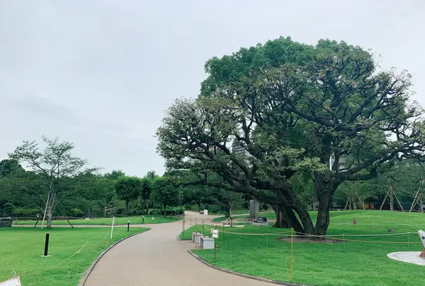 隅田公園の写真・動画_image_776769