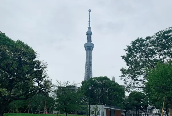 隅田公園の写真・動画_image_776770