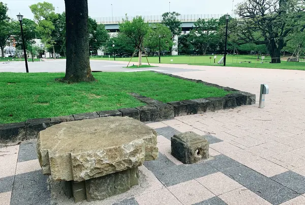 隅田公園の写真・動画_image_776772