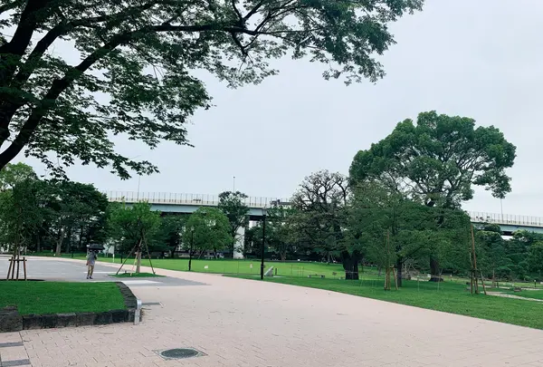 隅田公園の写真・動画_image_776774