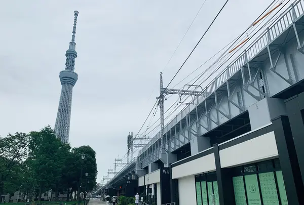 東京ミズマチの写真・動画_image_776776