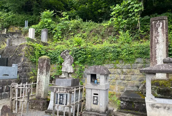 会津さざえ堂（円通三匝堂）の写真・動画_image_777172