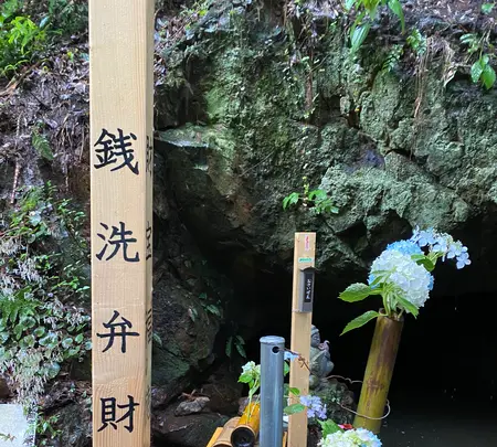 あじさい坂の写真・動画_image_777188