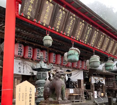 あじさい坂の写真・動画_image_777191