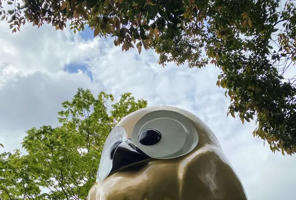 鷲子山上神社本殿の写真・動画_image_777210