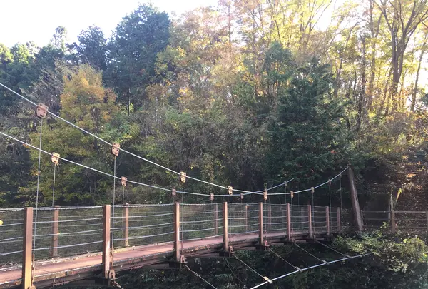 益子県立自然公園 益子の森の写真・動画_image_777243
