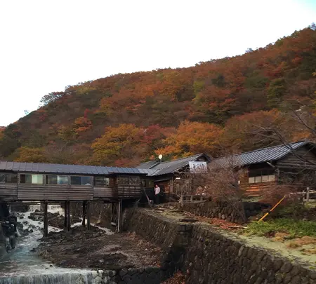 鹿の湯の写真・動画_image_777257