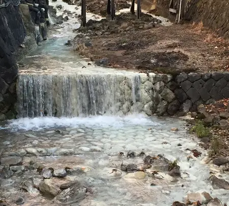 鹿の湯の写真・動画_image_777258