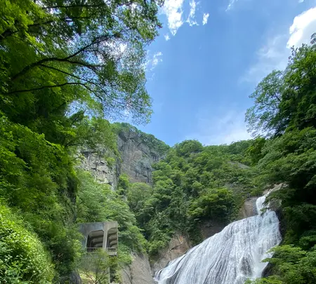 袋田の滝の写真・動画_image_777272