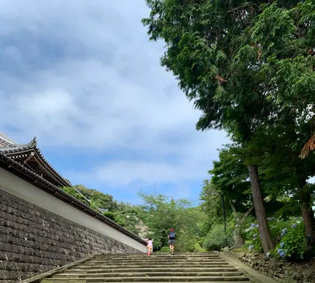 円覚寺 総門の写真・動画_image_778630