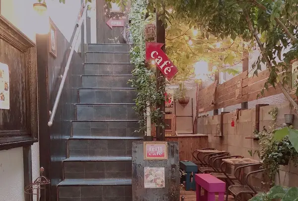 frill caféの写真・動画_image_779876