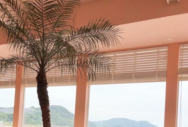 SURF SIDE CAFEの写真・動画_image_780003