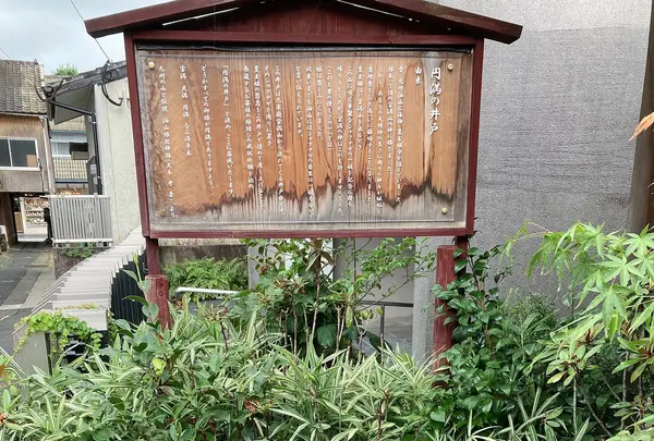 縁結び食堂 蕎麦 なみ満の写真・動画_image_780051