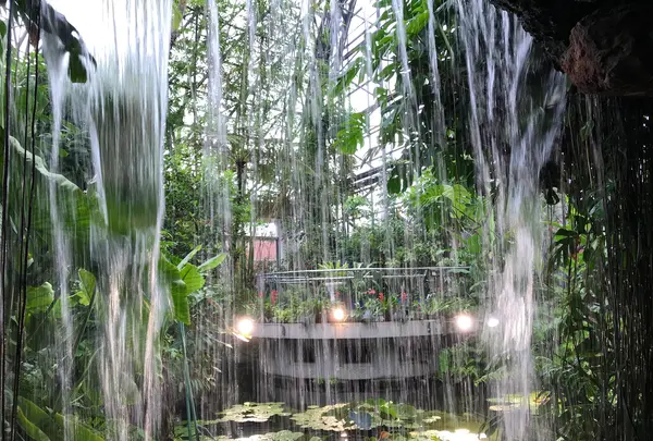 東京都夢の島熱帯植物館の写真・動画_image_781598