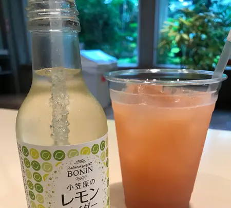 東京都夢の島熱帯植物館の写真・動画_image_781600