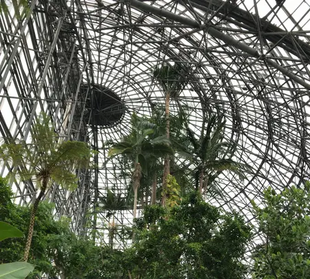 東京都夢の島熱帯植物館の写真・動画_image_781601