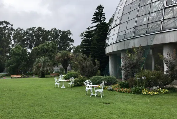 東京都夢の島熱帯植物館の写真・動画_image_781602
