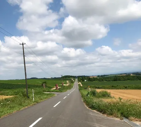 ジェットコースターの路の写真・動画_image_782966