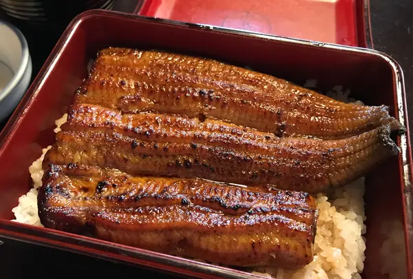 小島屋の写真・動画_image_783723